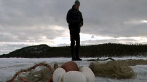 Kalassa!: 31.01.2018 15.26