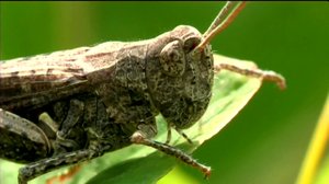 Maapallottelua: 01.02.2018 18.00