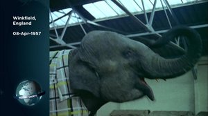 Hetkiä historiassa: 03.02.2018 08.54