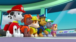 Ryhmä Hau (S): 04.02.2018 07.54