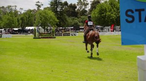 Ratsastuksen maailma: 04.02.2018 14.05