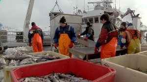 Näin Norjassa: 05.02.2018 08.50