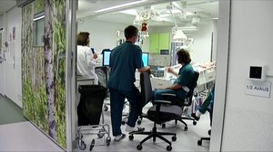 Yle Uutiset Uusimaa: Yle Uutiset Uusimaa 07-02-2018 klo 17-06: 07.02.2018 18.56