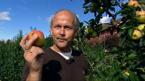 Näin Norjassa: 08.02.2018 08.50