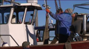 Yle Uutiset Pohjanmaa: Yle Uutiset Pohjanmaa 08-02-2018 Klo 17-06: 08.02.2018 16.52