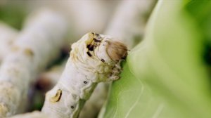 Laatua lyhyesti: 11.02.2018 19.25