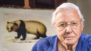 Luontohetki: Attenborough'n erikoiset: 11.02.2018 06.00