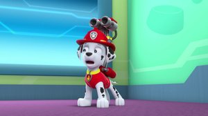 Ryhmä Hau (S): 11.02.2018 07.57