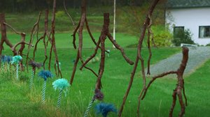 Norjaa ristiin rastiin: 12.02.2018 19.56