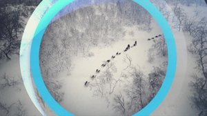 Oddasat: 12.02.2018 22.00