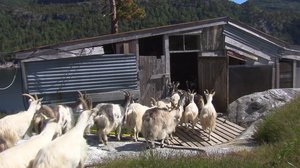 Näin Norjassa: 14.02.2018 10.47