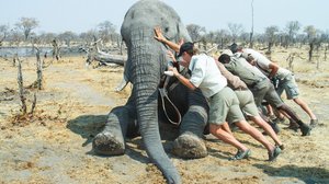 Prisma: Villieläinten valtaväylät: 14.02.2018 19.00