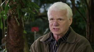 Arkistovieraana: Veikko Neuvonen: 15.02.2018 00.01