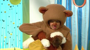 Nallen aamu: 15.02.2018 07.19