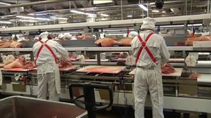 Yle Uutiset Pohjanmaa: Yle Uutiset Pohjanmaa 15-02-2018 Klo 17-06: 15.02.2018 16.36