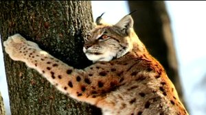 Maapallottelua: 15.02.2018 18.00