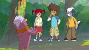 Anton Siilinen ratkaisee (S): 16.02.2018 08.01