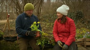 Puutarhaperjantai: 16.02.2018 10.01