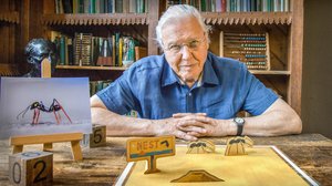 Luontohetki: Attenborough'n erikoiset: 18.02.2018 06.00