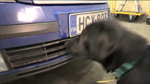 Yle Uutiset Itä-Suomi: Yle Uutiset Itä-Suomi 19-02-2018 Klo 17-06: 19.02.2018 16.39