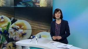 Yle Uutiset Uusimaa: Yle Uutiset Uusimaa 22-02-2018 klo 18-22: 22.02.2018 18.41