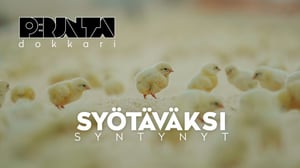 Perjantai: Syötäväksi syntynyt: 23.02.2018 13.16