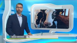 Yle Uutiset Häme: Yle Uutiset Häme 23-02-2018 Klo 18-22: 23.02.2018 17.24