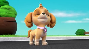 Ryhmä Hau (S): 25.02.2018 07.54