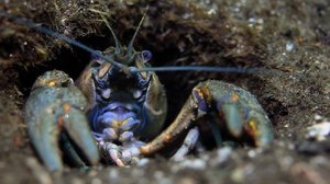 Tarinoita järviltä: 25.02.2018 19.30