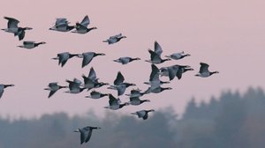 Tarinoita järviltä: 26.02.2018 19.54