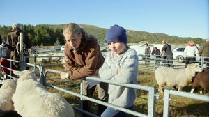 Kekseliäs nikkari: 28.02.2018 13.30