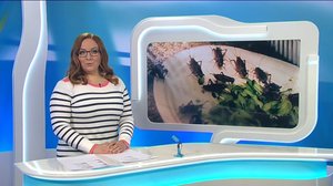 Yle Uutiset Pohjois-Suomi: Yle Uutiset Pohjois-Suomi 01-03-2018 Klo 18-22: 01.03.2018 17.49