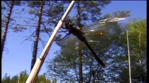 Maapallottelua: 01.03.2018 18.00