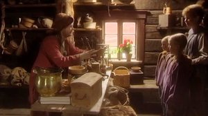 Syrhämä (7): 02.03.2018 08.18