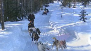 Yle Uutiset Itä-Suomi: Yle Uutiset Itä-Suomi 02-03-2018 Klo 17-06: 02.03.2018 16.44