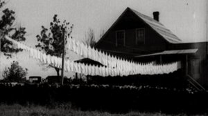 Flashback: 02.03.2018 17.20