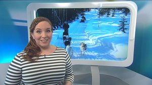 Yle Uutiset Uutis-Suomi: Yle Uutiset Uutis-Suomi 02-03-2018: 02.03.2018 18.58