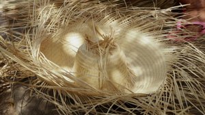 Laatua lyhyesti: 03.03.2018 17.37