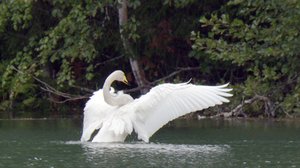 Tarinoita järviltä: 04.03.2018 19.30