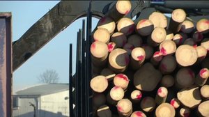 Yle Uutiset Häme: Yle Uutiset Häme 05-03-2018 klo 17-06: 05.03.2018 16.35