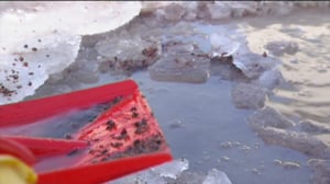 Yle Uutiset Lounais-Suomi: Yle Uutiset Lounais-Suomi 05-03-2018 Klo 17-06: 05.03.2018 16.54