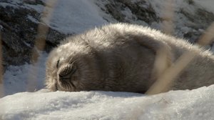 Tarinoita järviltä: 06.03.2018 14.55