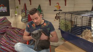 BUU-klubben: 06.03.2018 18.00