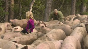 Norjaa ristiin rastiin: 07.03.2018 06.19