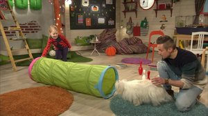 BUU-klubben: 10.03.2018 18.00