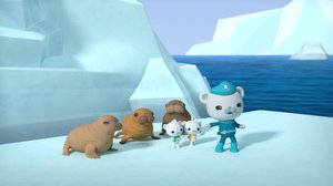 Oktonautit (S): 11.03.2018 08.33