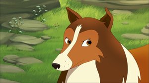 Lassie (7): 11.03.2018 09.34