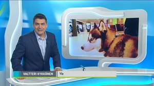 Yle Uutiset Pirkanmaa: Yle Uutiset Pirkanmaa 12-03-2018 Klo 18-22: 12.03.2018 17.48