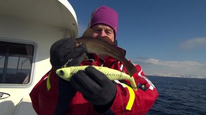 Miksi kala syö?: 13.03.2018 12.05