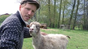 Tanskalainen maajussi: 13.03.2018 12.45